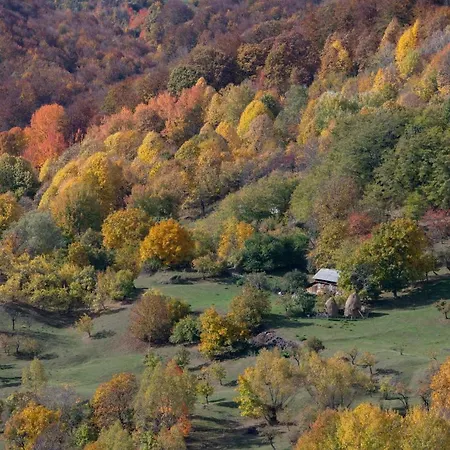 Villa Valley View Breaza (Prahova)